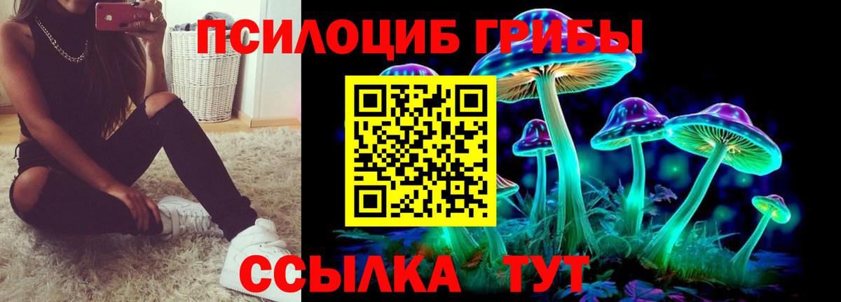 Нефтекумск  где продают   Вход с VPN  Псилоцибиновые грибы Psilocybine cubensis 